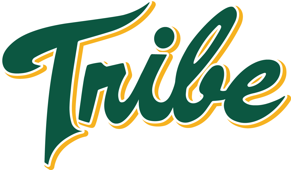 William and Mary Tribe 2016-2017 Alternate Logo diy iron on heat transfer